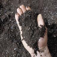 خاک سینی نشا برنج