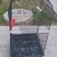 قفس بزرگ پرنده