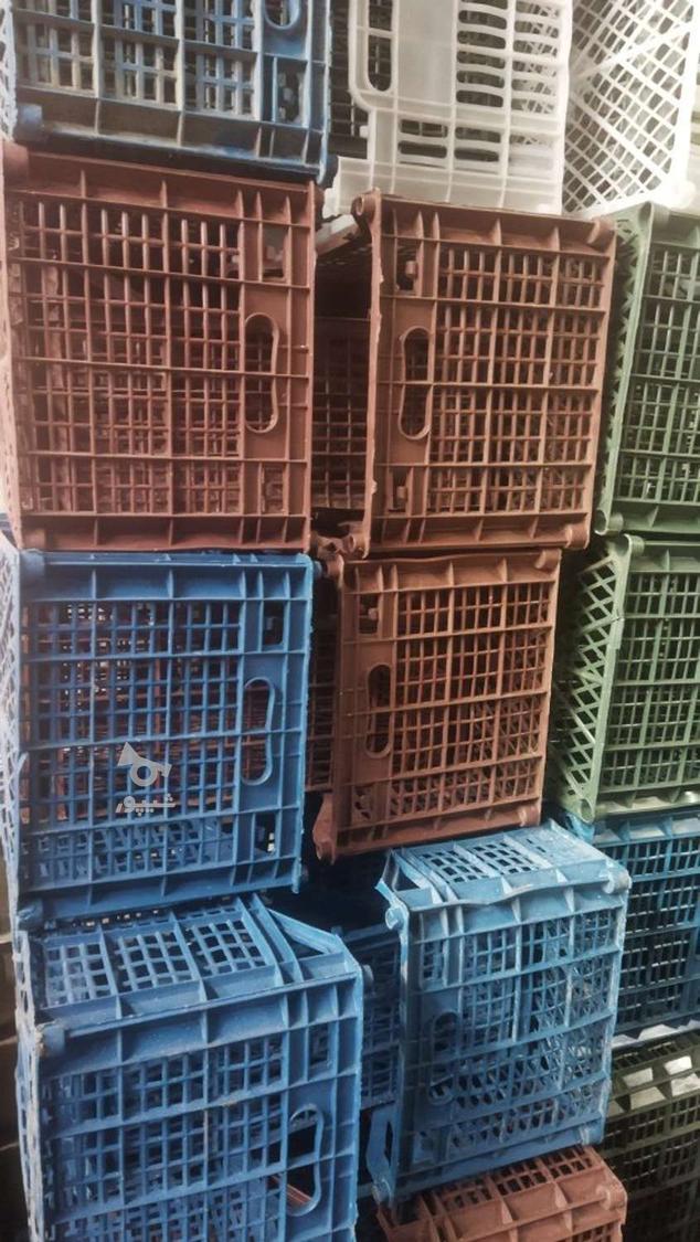 سبد میوه محکم