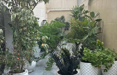 فروش زمین تجاری مسکونی 600 متر دو کله در امام رضا