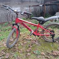 سایز 20 دنده ای حرفه ای مارک بونیتو