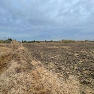 فروش زمین کشاورزی 10000 متر در پهناب