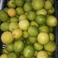 لیموترش آمریکایی پوست کاغذی