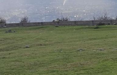 2 قطعه300 متری در روستای سیرگا گوهر کلا مرزن اباد