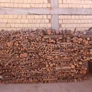 مقداری چوب خشک بادام برای ذغال