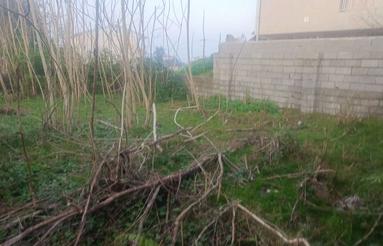 زمین مسکونی به مساحت 266متر