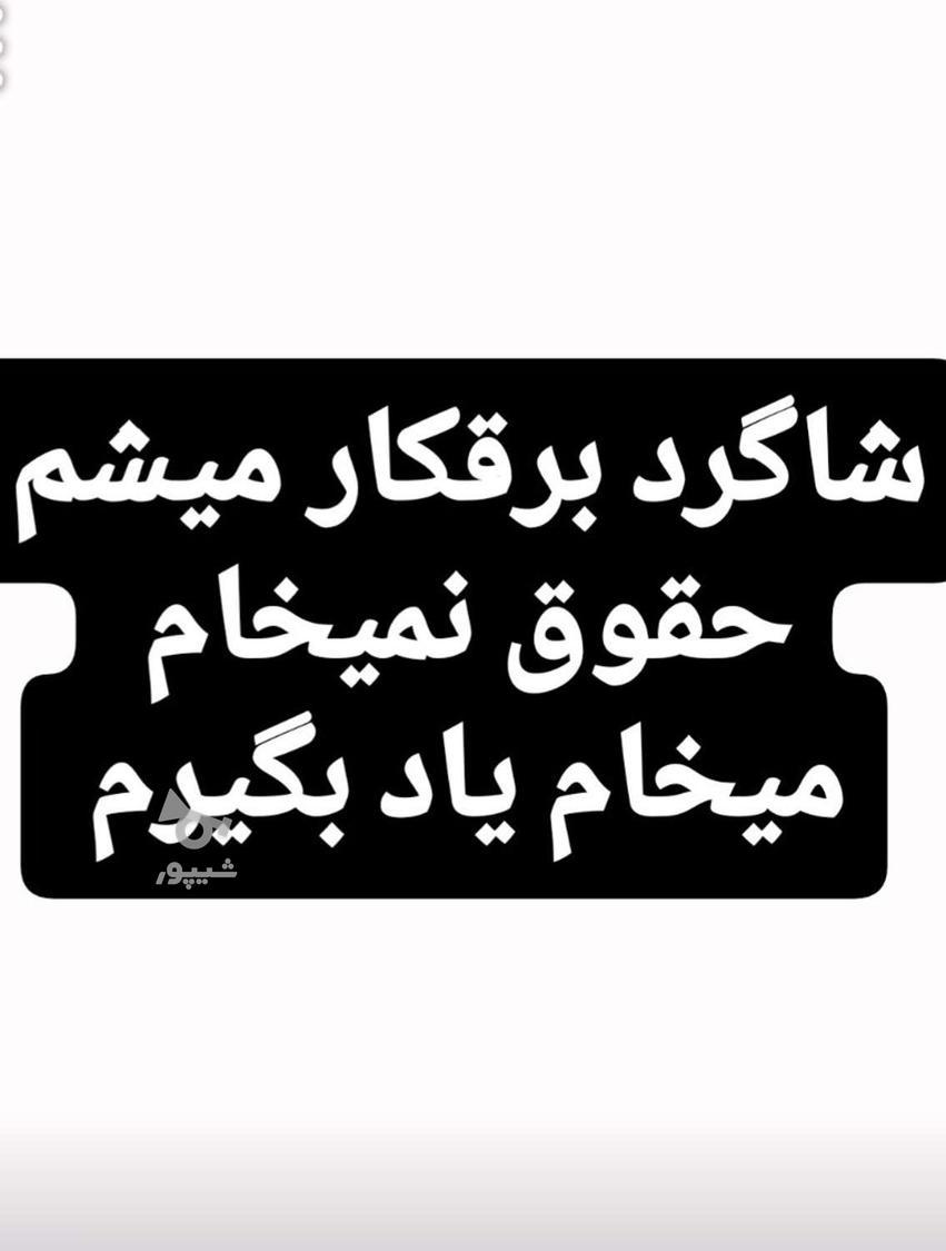 شاگرد برقکار میشم بدون حقوق - undefined