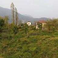 300 متر زمین در رامسر روستای گاورمک