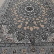 فرش نو قیمت مناسب