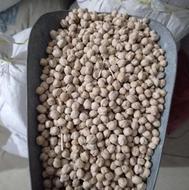 نخود دیم یک دست