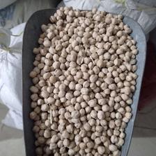 نخود دیم یک دست