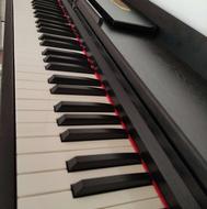پیانو بنبرگ LP-115 - فروش فوری