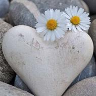 پارتنر ورزشی و تفریحی