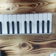 مودلدیکا خوش صدا سالم