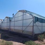 گلخانه هیدروپونیک