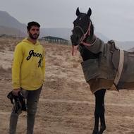 فروش نریان 5ساله دوخون