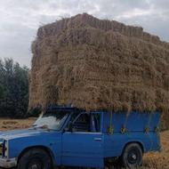 کمل کلش کاه تحویلی