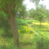 274 متر زمین چسبیده به شهرک