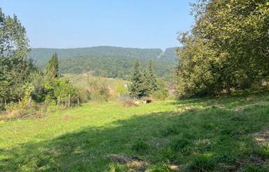 ویلا با تمام امتیازات و تمام امکانات