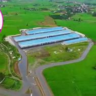 همکار نگهبان لازم داریم