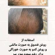 د مشاوره زبان شناسی