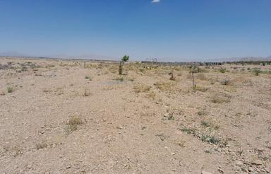 زمین کشاورزی و باغی