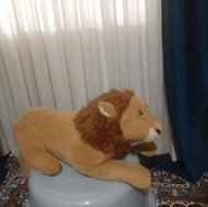 خرسی و شیر باهم 400 هزارتومان