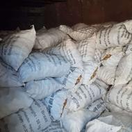 سیب سانته بذری