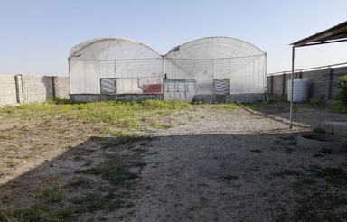 گلخانه 2000 متری جاده سراب نیلوفر