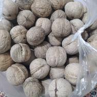 گردوی درشت وباکیفیت