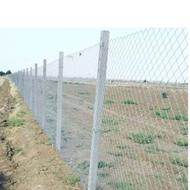 زمین آینده دار در فاز 6 پردیس مجاور پارک فناوری