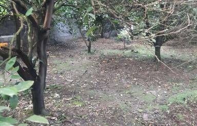 زمین 335 متر دو بَر ، تو بافت قابل ساخت