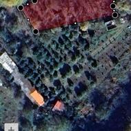 زمین در کنار جنگل باغ صناور 10ساله