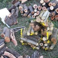 هیزم شومینه ی