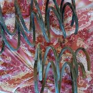 تعدادی لوازم خودرو