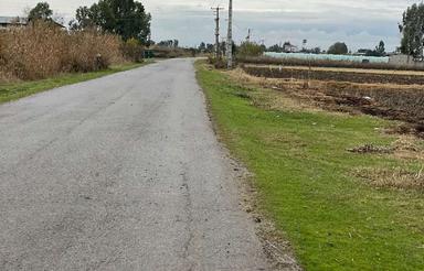 فروش زمین کشاورزی 15000 متر در پهناب