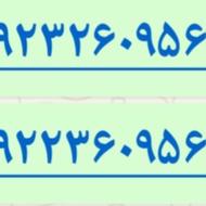 سیم کارت رایتل شماره سریالی 09223609561