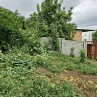 زمین مسکونی254متر