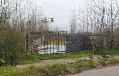 فروش فوری زمین در زیباکنار (شعمیرسرا)