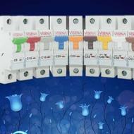 مینیاتوری شیله ویسنا