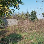 زمین نسق معتبر مسکونی