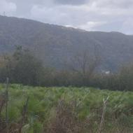 فروش زمین مسکونی 200 متر در آغوزکله