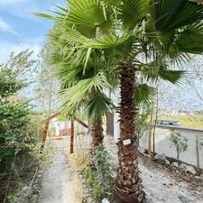 فروش ویلا 170 متر در آهودشت