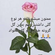 قلمه هر گلی...