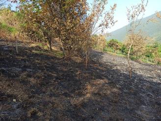 فروش زمین در گانگسر رامسر