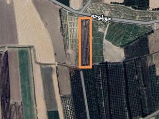 زمین کشاورزی آبی فصلی