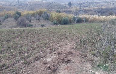 فروش زمین کشاورزی باساعت آب