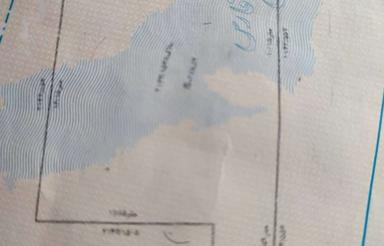 زمین سند تک برگ