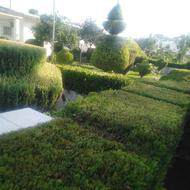 خدمات باغبانی و طراحی فضای سبز
