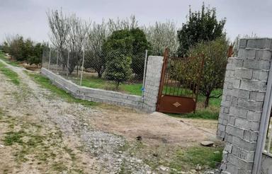 یک قطعه باغ مرکبات شهرکی